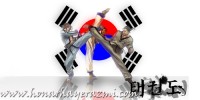 پیدایش هنرهای رزمی در کره